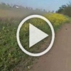 Тропа страданий по-узбекски
