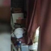 В СНТ Парнас в Выборгском районе ЛО правоохранители задержали 36-летнего...