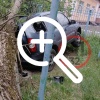 Последствия сильного ветра. Улица Володарского 🇷🇺...