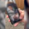В московском метро сотрудники МВД России за несколько часов рейда задержали 140 мигрантов
