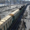 В Ачинске контрабандист леса заплатит государству 2,3 млн рублей. Ачинский...