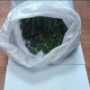 В Железногорске ликвидирована наркоплантация: полицейские изъяли 26 кустов конопли