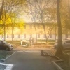 В Москве женщину оштрафовали на 1,5 тысячи рублей за то, что она не убрала...