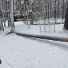 Сосна упала на 6-летнего мальчика на территории детского сада Произошло это 9...