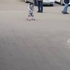 Обычный день в Москве: поиграть с робособакой и встретить на улице роверов-...