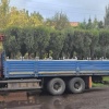 Пальмы и туи с улиц Красноярска отправляются на зимовку. Деревья на зиму...