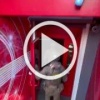 Ещё одно казино под видом букмекерской конторы накрыли в...