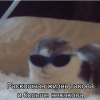 День изобретения солнцезащитных очков отмечается сегодня!
