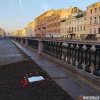 На месте срубленного тополя на канале Грибоедова устроили символическую...