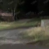 «Выходит ночью и переворачивает мусорные баки»: медведь терроризирует жителей поселка Новоангарск