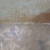 В Красноярске твари-предприниматели превратили цех по переработке рыбы в...