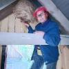 Стая гигантских шершней оккупировала баню на даче свердловчанки