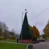 Тем временем в разных районах города начали устанавливать и наряжать...