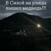 Медведь вышел на улицы Сизой (Шушенский район). Хищник полез в огороды. «На...