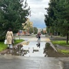 В Кемерово в районе дома №29 на Бульваре Строителей образовался декоративный...