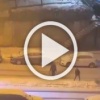 Стамбульский снег порадовал не всех: