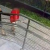 Подростки жестоко избили красноярца за замечание — он в коме.
