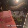 Ясновидящие пообещали снизить расход топлива и даже «превратить» АИ-92 в АИ-100.
