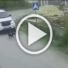 В Крыму водитель переехал собаку и даже не остановился....