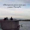 Позирующая перед камерой чайка покорила петербуржцев.