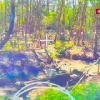 Замаскированную украинскую гаубицу нашли наши операторы дронов в лесу Сумской области.