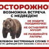 Из-за медведей жителей и гостей Хакасии просят не посещать природные парки...