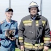 В Минусинске спасатели вытащили щенка из закопанной трубы.