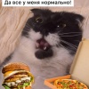 Регулярное употребление бургеров, пиццы, газировки и другой...