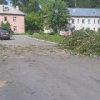 Ритуальные услуги, аварийные деревья и свалка — в таком окружении живут люди...