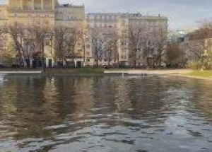 Лебедей с Патриарших поймали и отправили на зимовку в Московский зоопарк....
