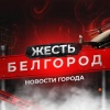 Новости Белгородской области