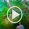 ❗️Xoxoл в кустах пытался эвакуировать своего побратима,...