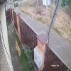 В деревне Коккорево собака набросилась на первоклассника и покусала его за плечо и руки.