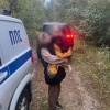 Маму с ребенком нашли в лесу в Иркутском районе В отдел полиции поступило...