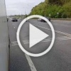 Две лошадиные силы замечены на трассе под Воскресенском...