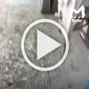Не самое доброе утро от жителя Иркутска: он вышел...