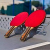 🏓 В парке «Берега» появятся корты для тенниса