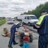 Смертельное ДТП на Режевском тракте: мотоблок столкнулся с Mercedes