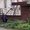 Петербургский кот получил персональный вход домой