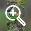 Вновь жители города Белово просят помощи в огласке.