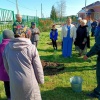 В Хакасии открыли памятную аллею