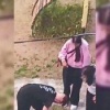 18-летний парень в Выборгском районе ЛО подрался с 50-летним мужчиной и нанес...