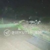 В Усть-Куте стая собак сцепилась с медведем. На видео несколько собак...