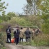 Тело пропавшего в Артемовском мальчика нашли Восьмилетний Тимофей погиб....