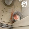 Студентка тайно родила в туалете общежития канского...