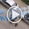 В Кудрово две обезьяны не поделили чернильницу и устроили за её сердце поединок.