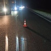 Водитель и пассажирка погибли в ДТП с лосем под Новосибирском