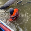 Тело утонувшего рыбака ищут ачинские спасатели Водолазы обследовали больше 20...