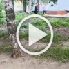 И снова мордобой выпускников, на этот раз из Воронежа