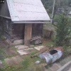Медведя в 15 минутах от центра Новокузнецка заметили в СНТ «Сосновец». Со...